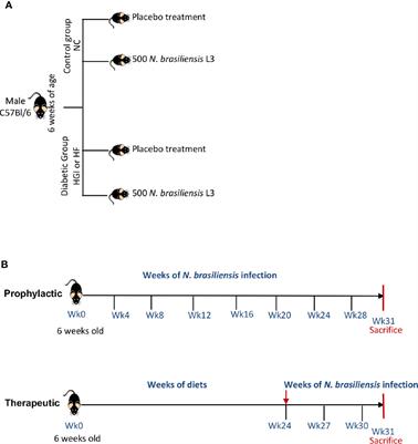 Gastrointestinal Helminth Infection Improves Insulin Sensitivity, Decreases Systemic Inflammation, and Alters the Composition of Gut Microbiota in Distinct Mouse Models of Type 2 Diabetes